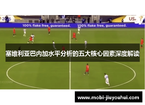 塞维利亚巴内加水平分析的五大核心因素深度解读