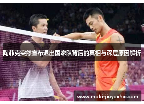 陶菲克突然宣布退出国家队背后的真相与深层原因解析
