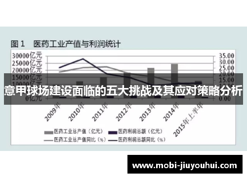 意甲球场建设面临的五大挑战及其应对策略分析