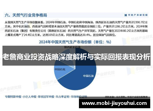 老詹商业投资战略深度解析与实际回报表现分析