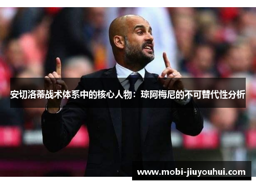 安切洛蒂战术体系中的核心人物：琼阿梅尼的不可替代性分析