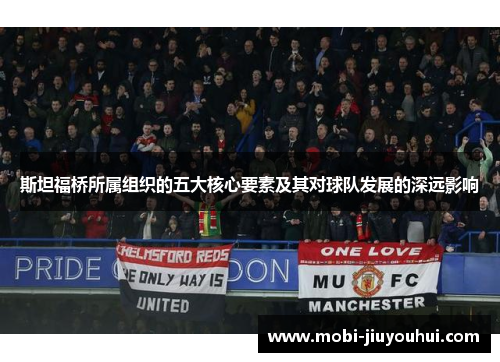 斯坦福桥所属组织的五大核心要素及其对球队发展的深远影响